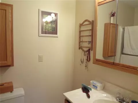 607 Dartmouth, Dewitt, MI 48820 photo 14