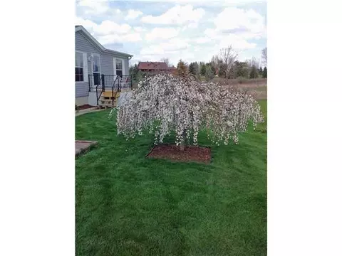 9850 S Bauer Rd, Dewitt, MI 48820 photo 20