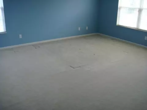 815 Blacksmith Trl, Williamston, MI 48895 photo 13