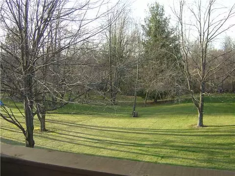 11480 Krepps, Dewitt, MI 48820 photo 8