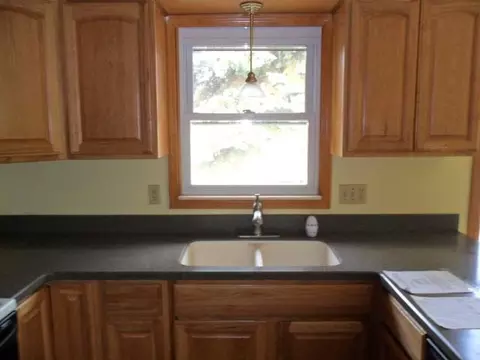 13165 Turner Rd, Dewitt, MI 48820 photo 4