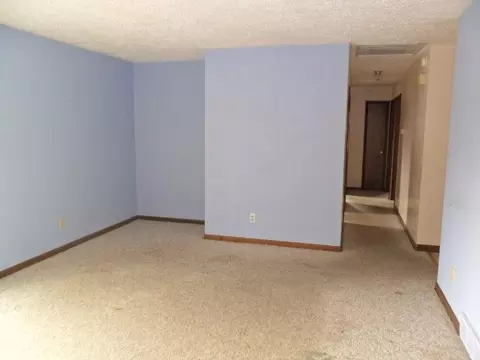 13165 Turner Rd, Dewitt, MI 48820 photo 7