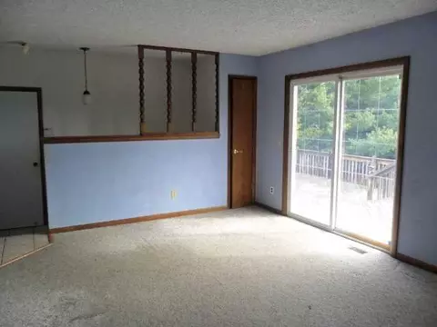 13165 Turner Rd, Dewitt, MI 48820 photo 8
