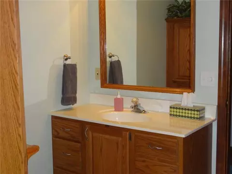 352 Tanbark, Dimondale, MI 48821 photo 21
