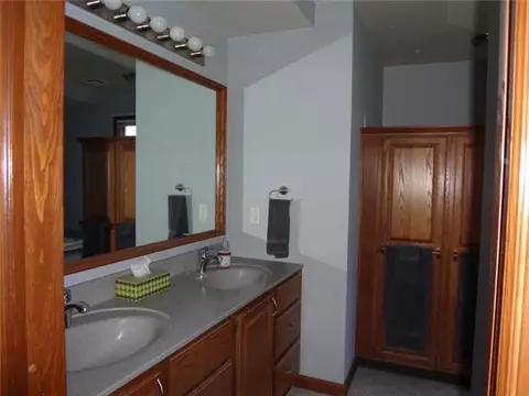352 Tanbark, Dimondale, MI 48821 photo 14