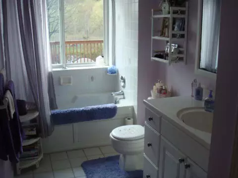 10592 S Lowell, Dewitt, MI 48820 photo 11