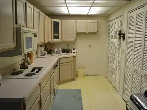 537 Red Cedar Blvd, Williamston, MI 48895 photo 12