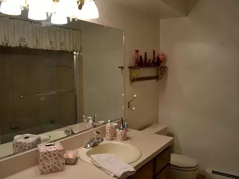 537 Red Cedar Blvd, Williamston, MI 48895 photo 10