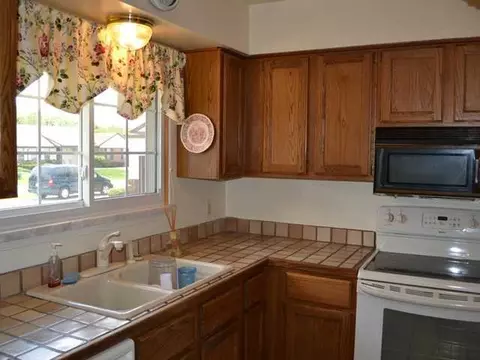 537 Red Cedar Blvd, Williamston, MI 48895 photo 8