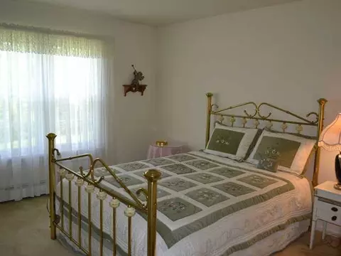 537 Red Cedar Blvd, Williamston, MI 48895 photo 9