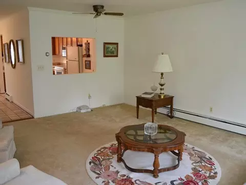537 Red Cedar Blvd, Williamston, MI 48895 photo 4