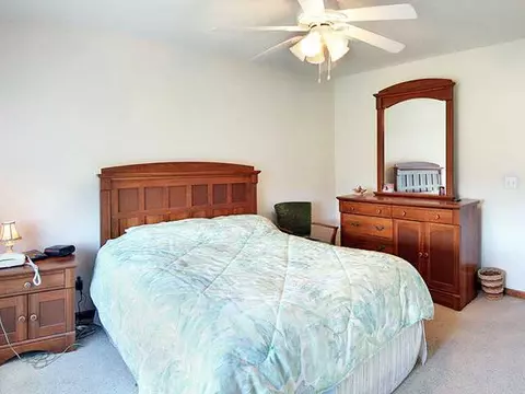 8902 Jacaranda, Dimondale, MI 48821 photo 12