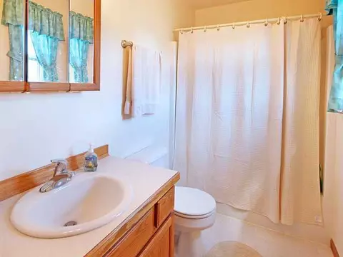 8902 Jacaranda, Dimondale, MI 48821 photo 13