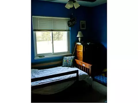 4374 Ballantine Rd, Dewitt, MI 48820 photo 18