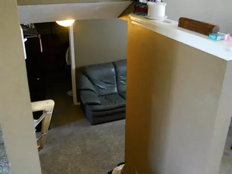 4374 Ballantine Rd, Dewitt, MI 48820 photo 13