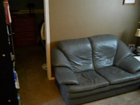 4374 Ballantine Rd, Dewitt, MI 48820 photo 14