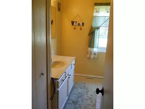 4374 Ballantine Rd, Dewitt, MI 48820 photo 17