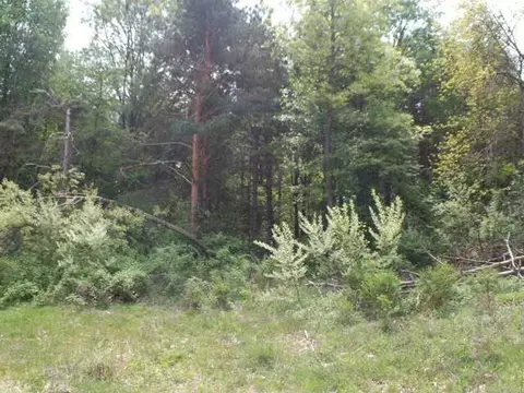 3845 Taelor Cir, Dewitt, MI 48820 photo 1