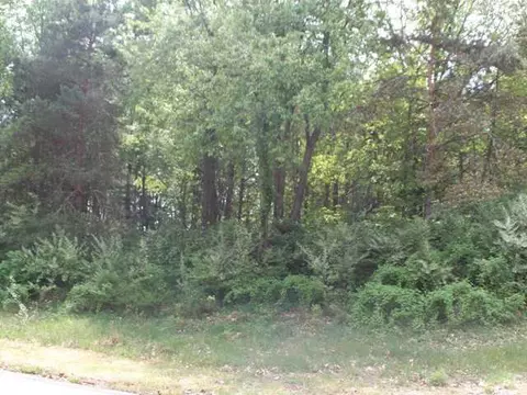 3845 Taelor Cir, Dewitt, MI 48820 photo 2