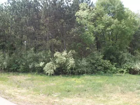 3845 Taelor Cir, Dewitt, MI 48820 photo 3