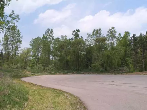 12590 Tustin Way, Dewitt, MI 48820 photo 1