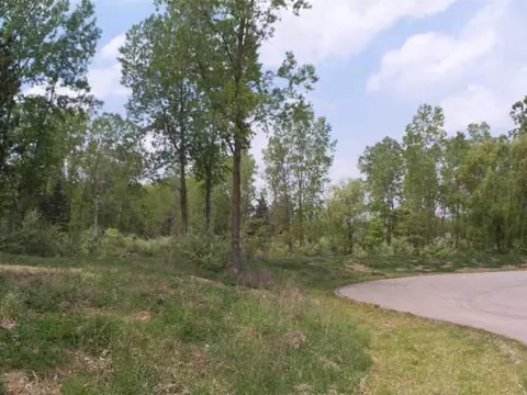 12590 Tustin Way, Dewitt, MI 48820 photo 2