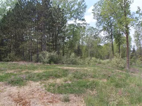 12590 Tustin Way, Dewitt, MI 48820 photo 3