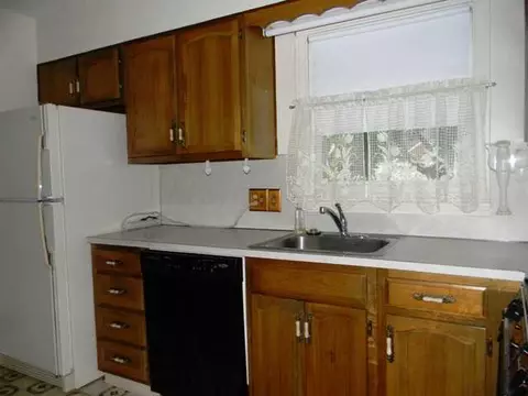 780 Fitting Ave, Lansing, MI 48917 photo 12