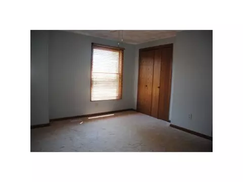 115 Spring Meadows Ln, Dewitt, MI 48820 photo 18