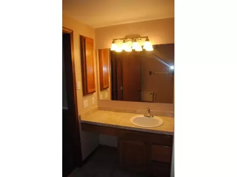115 Spring Meadows Ln, Dewitt, MI 48820 photo 16