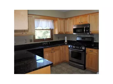 115 Spring Meadows Ln, Dewitt, MI 48820 photo 5