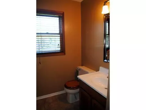 115 Spring Meadows Ln, Dewitt, MI 48820 photo 12