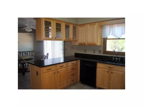115 Spring Meadows Ln, Dewitt, MI 48820 photo 6