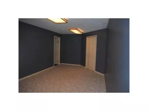 115 Spring Meadows Ln, Dewitt, MI 48820 photo 20