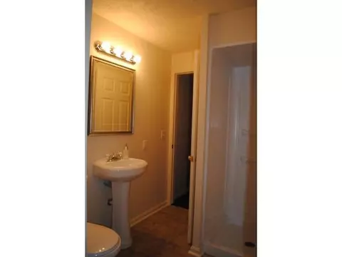 115 Spring Meadows Ln, Dewitt, MI 48820 photo 21