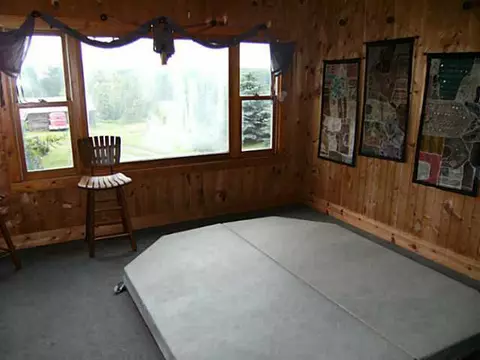 1660 Locher, Dewitt, MI 48820 photo 17