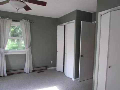 236 E South Street St, Mason, MI 48854 photo 11