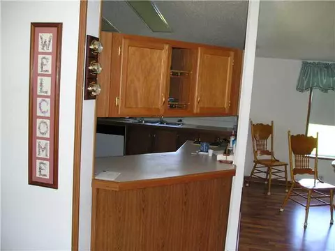 3033 E Hyde Rd, Elsie, MI 48831 photo 12