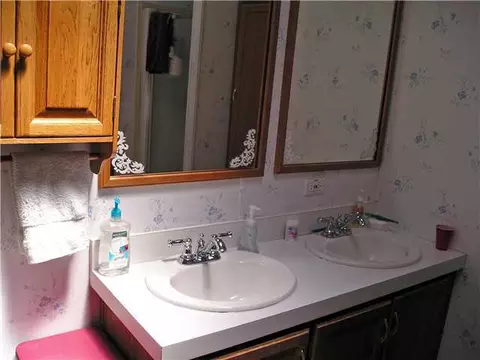 3033 E Hyde Rd, Elsie, MI 48831 photo 15