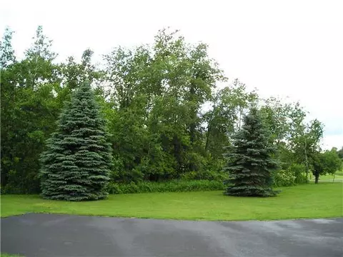 3033 E Hyde Rd, Elsie, MI 48831 photo 22