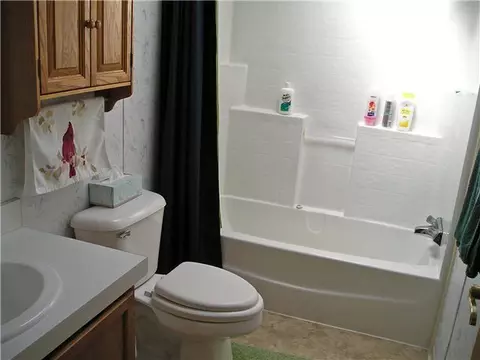 3033 E Hyde Rd, Elsie, MI 48831 photo 19