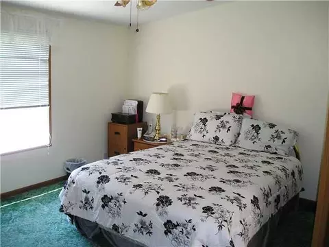 3033 E Hyde Rd, Elsie, MI 48831 photo 13