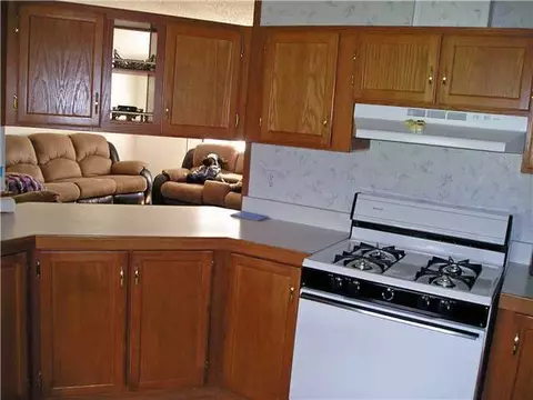 3033 E Hyde Rd, Elsie, MI 48831 photo 11
