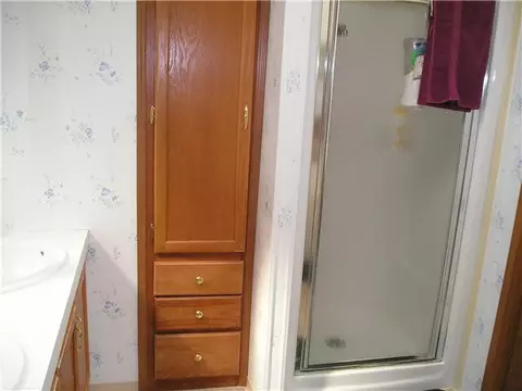 3033 E Hyde Rd, Elsie, MI 48831 photo 16