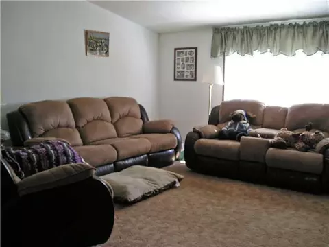 3033 E Hyde Rd, Elsie, MI 48831 photo 5
