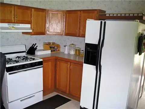 3033 E Hyde Rd, Elsie, MI 48831 photo 9