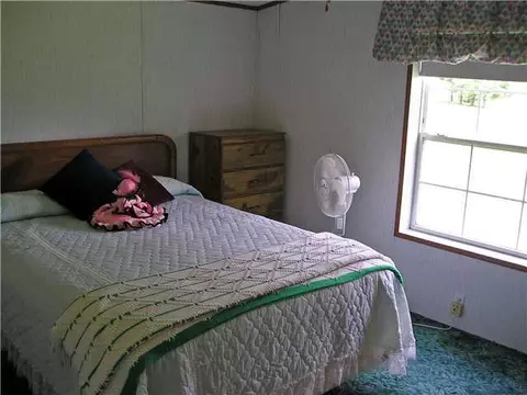 3033 E Hyde Rd, Elsie, MI 48831 photo 17