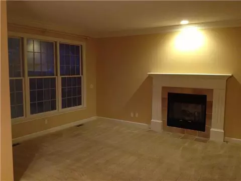 12624 Paradise Dr, Dewitt, MI 48820 photo 10
