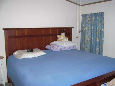 4220 N Dewitt Rd St, Saint Johns, MI 48879 photo 9