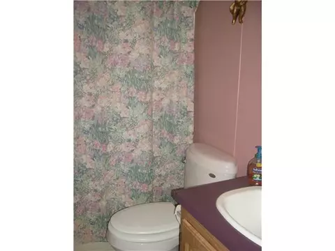 4220 N Dewitt Rd St, Saint Johns, MI 48879 photo 8